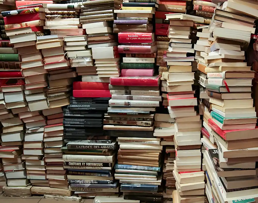 lot de livres 1 Débarras livres